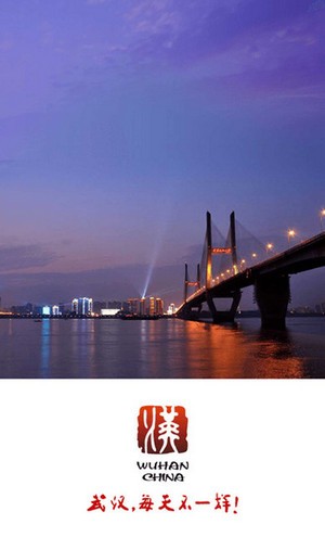 武汉政务app