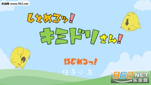 住手小鸟游戏