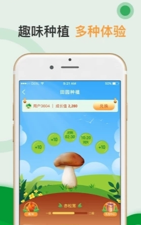 蘑菇集市区块赚钱软件_蘑菇集市区块赚钱软件积分版_蘑菇集市区块赚钱软件中文版