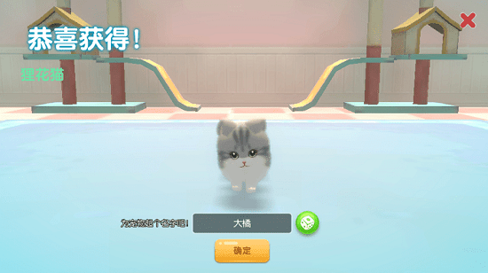 养了个猫联机版下载
