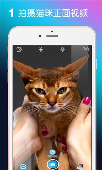 MiaowTalk猫嘴秀ios