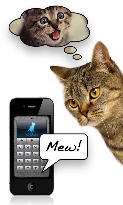 猫语翻译器app_猫语翻译器app破解版下载_猫语翻译器app小游戏