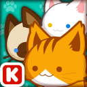 Animal Judy: Cat care Animal Judy: Cat care