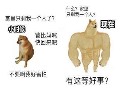 肌肉doge与小废狗表情包app免费下载v1.0