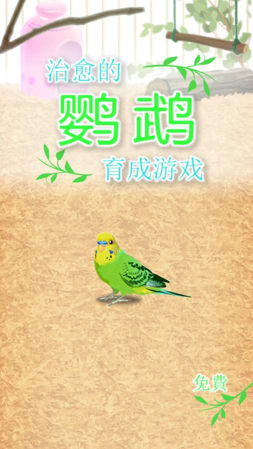 治愈的鹦鹉育成游戏app_治愈的鹦鹉育成游戏app手机游戏下载_治愈的鹦鹉育成游戏app最新版下载