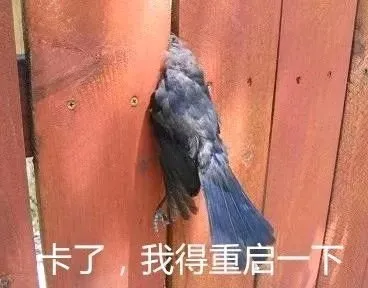 你好那个哦表情包