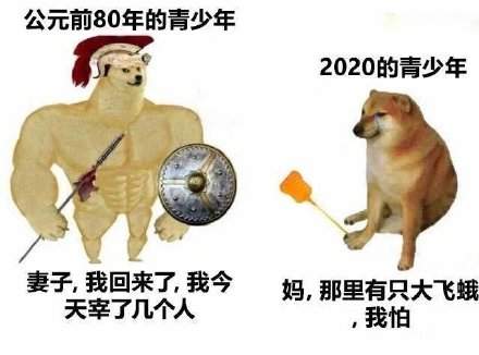肌肉doge与小废狗表情包