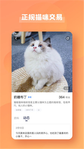 宠酱app下载_宠酱app下载最新官方版 V1.0.8.2下载 _宠酱app下载最新版下载