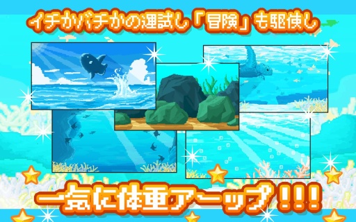活下去！曼波鱼！app_活下去！曼波鱼！app最新版下载_活下去！曼波鱼！appapp下载
