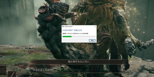 艾尔登法环打不开怎么解决？闪退黑屏白屏卡顿异常报错处理建议[多图]图片1