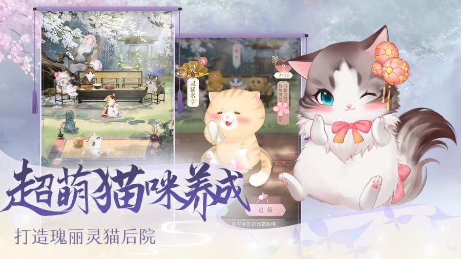 灵猫传app_灵猫传安卓版app_灵猫传 手机版免费app