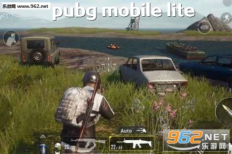 pubg mobile lite低配版
