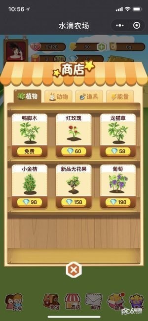 水滴农场