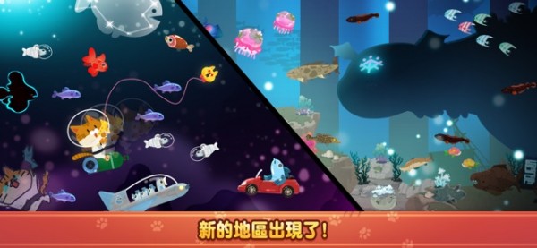 渔猫