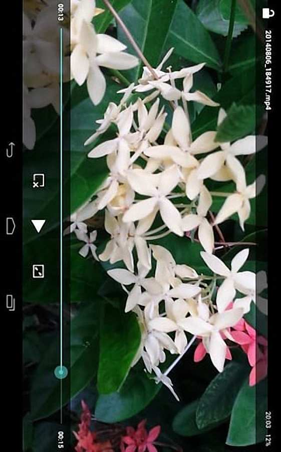高清视频播放器app_高清视频播放器app中文版_高清视频播放器app破解版下载