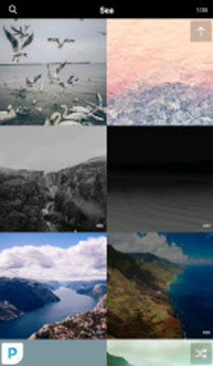 Papers.coapp_Papers.coappapp下载_Papers.coapp官方正版