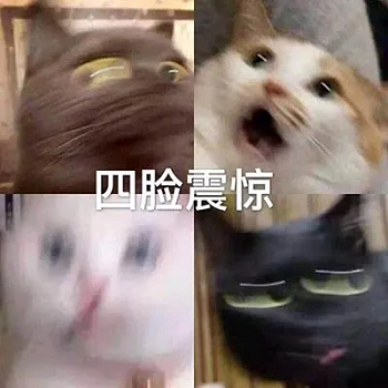 你好那个哦表情包