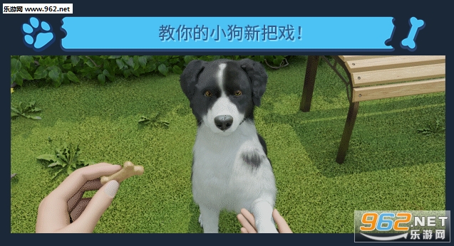 养狗模拟器游戏