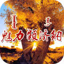 中国额济纳 中国额济纳