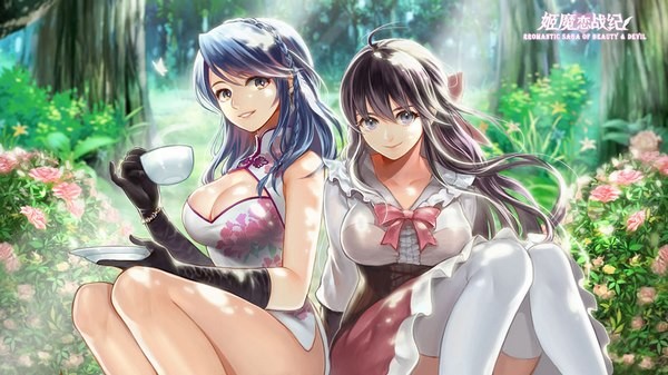 姬魔恋战纪ios版