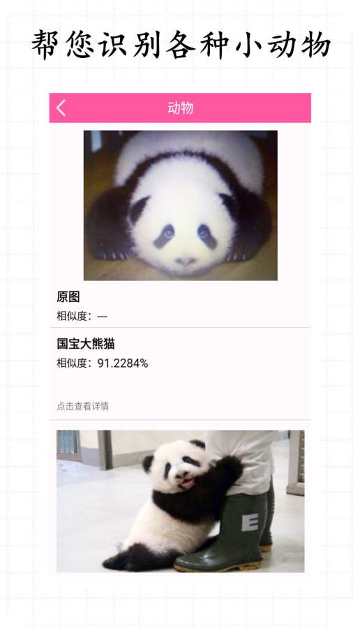 拍照识物下载_拍照识物下载手机版_拍照识物下载中文版