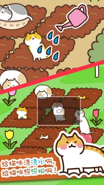 猫咪田园ios游戏下载