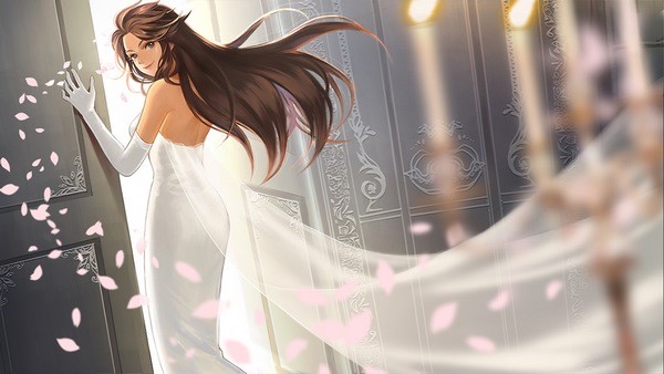 姬魔恋战纪ios版