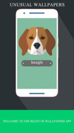 unusual壁纸包app_unusual壁纸包app中文版下载