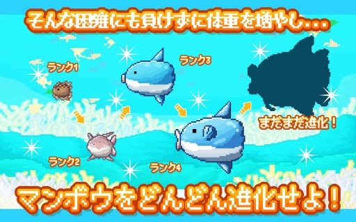 活下去！曼波鱼！app_活下去！曼波鱼！app最新版下载_活下去！曼波鱼！appapp下载
