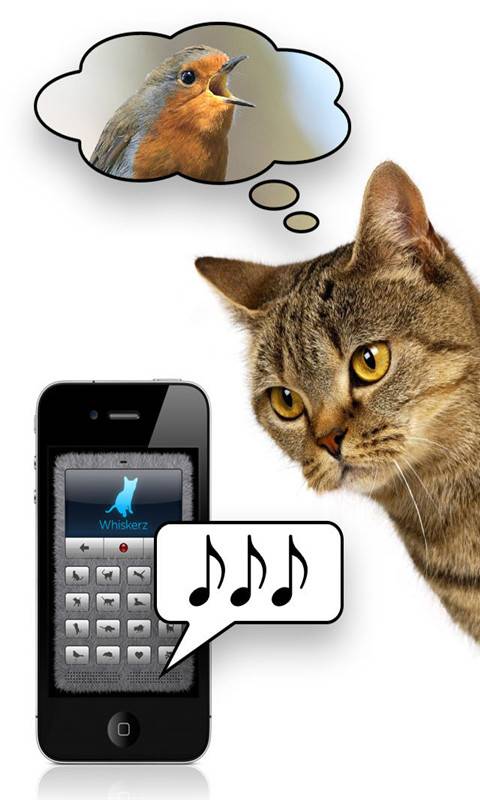 猫语翻译器app_猫语翻译器app破解版下载_猫语翻译器app小游戏