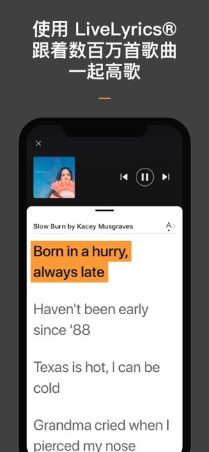 音乐搜索器app