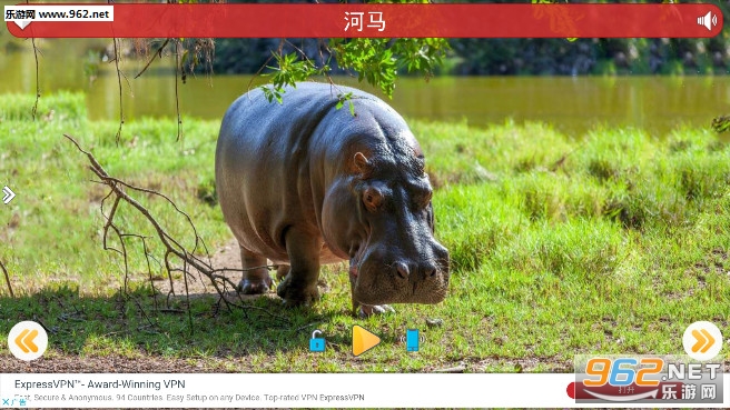 好多小可爱手机版_好多小可爱手机版积分版_好多小可爱手机版最新版下载