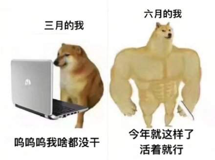 肌肉doge与小废狗表情包