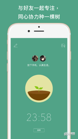 forest专注森林