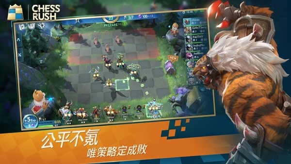 战歌竞技场