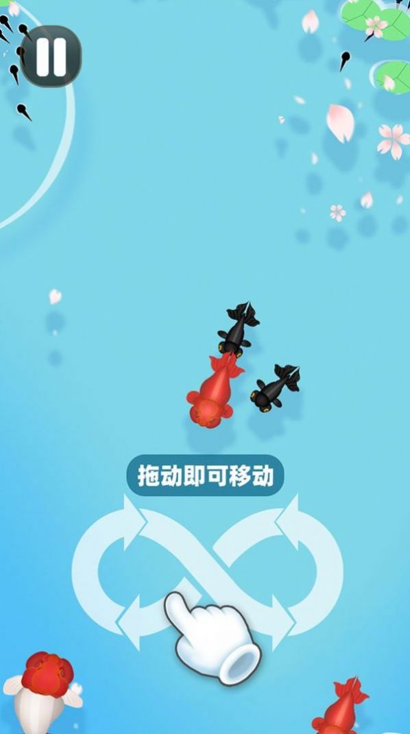 合成大锦鲤下载_合成大锦鲤手机app中文免费版v1.0