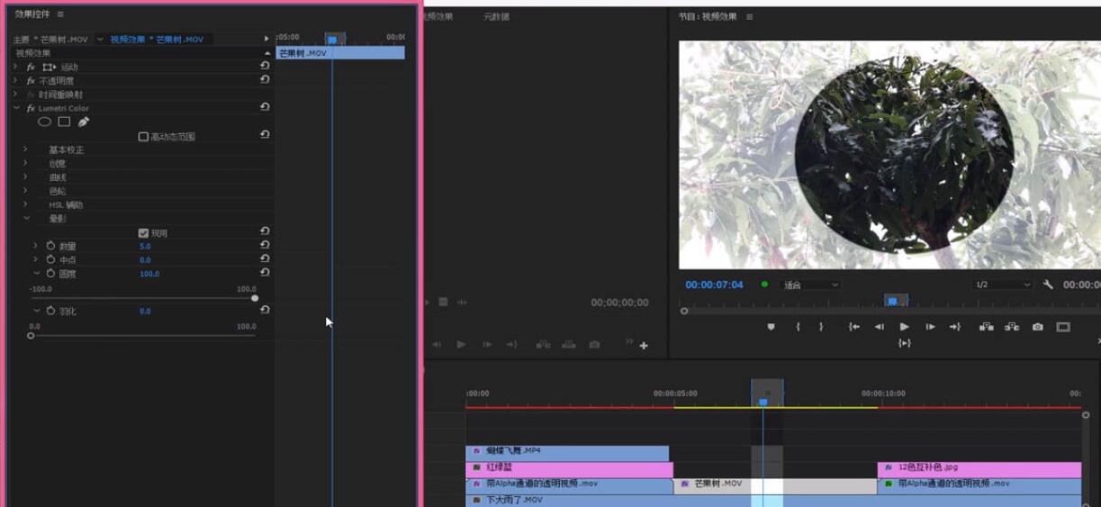 premiere镜头晕影效果的制作教程