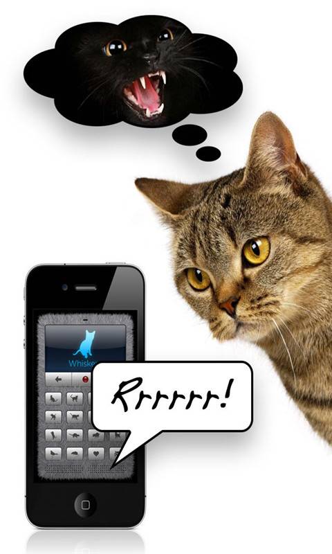 猫语翻译器app_猫语翻译器app破解版下载_猫语翻译器app小游戏