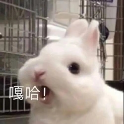 我哭了我装的表情包