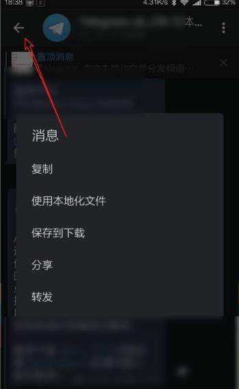 telegram手机中文版