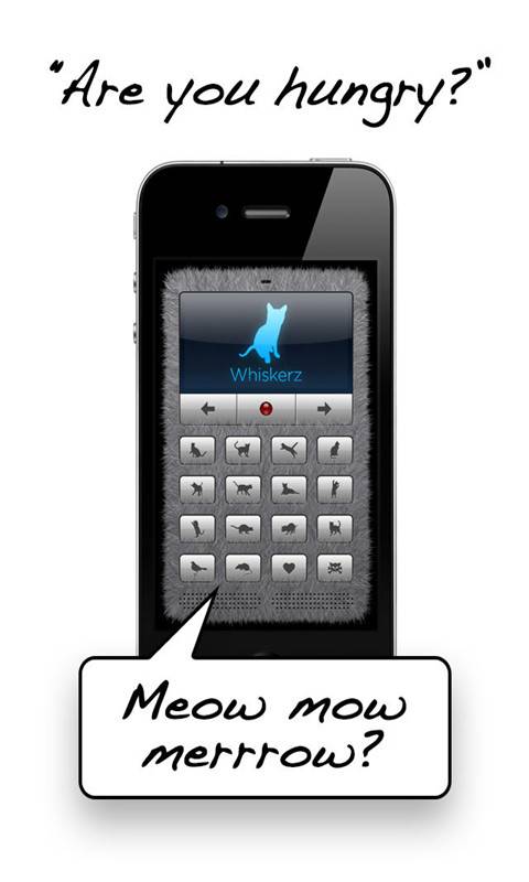 猫语翻译器app_猫语翻译器app破解版下载_猫语翻译器app小游戏