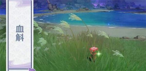 原神血斛位置在哪？血斛分布图一览[多图]图片7