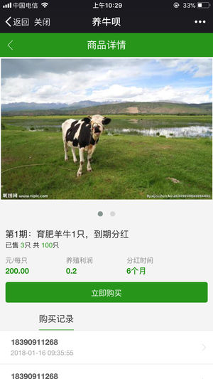 养牛呗app