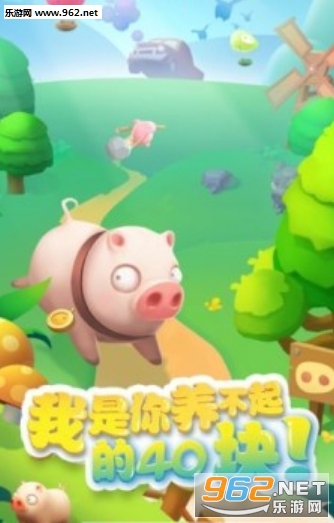我的肉40块赚钱版