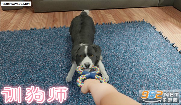 训狗师手机版