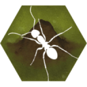 Finally Ants Finally Ants
