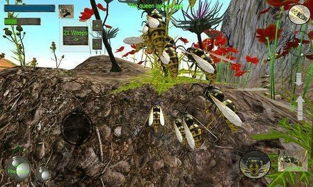 大黄蜂进化史最新版-大黄蜂进化史游戏下载 v1.0.2
