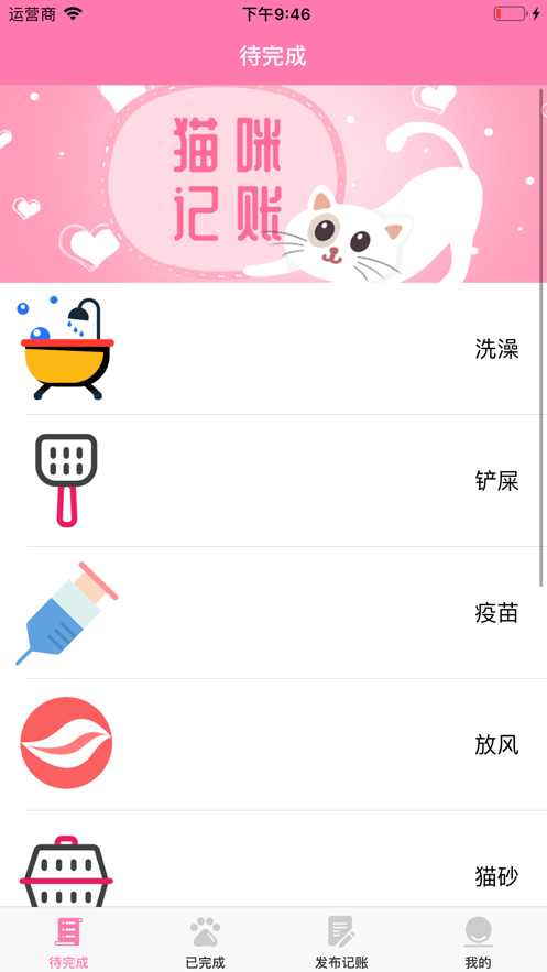 猫咪小账本