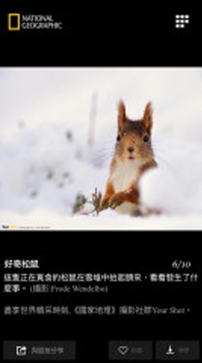 国家地理每日精选app_国家地理每日精选app安卓版_国家地理每日精选app积分版