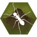 Finally Ants Finally Ants